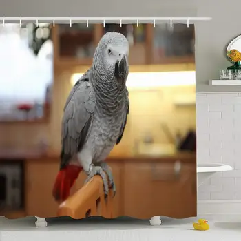

Shower Curtain Set with Hooks 72x72 Bird Chair African Sitting Grey Parrot On Wing Perched Pet Perch Animals Exotic Wildlife
