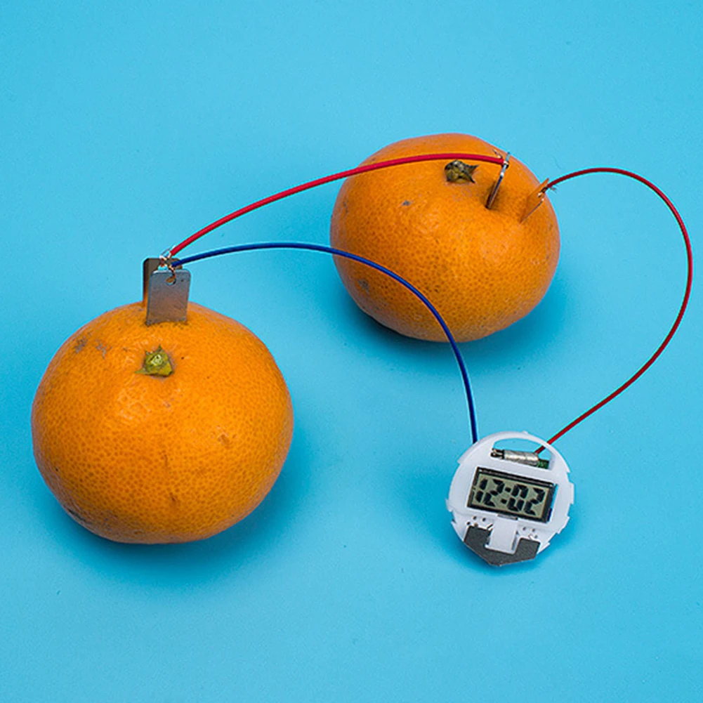 Obst‑Batterie Experimentierset – Pädagogisches Spielzeug Für Physik‑ & MINT‑Projekte, Ab 7 Jahren