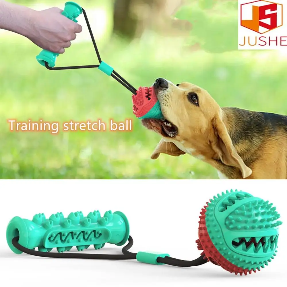

Pet product new product explosive pet toy combination drawstring toy training ball dog toy
