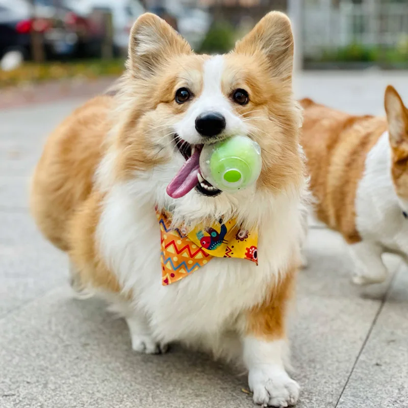 CAITEC Dog Toy Amazing Squeaker Ball Durable Floatable Springy Bite Resistant Toy