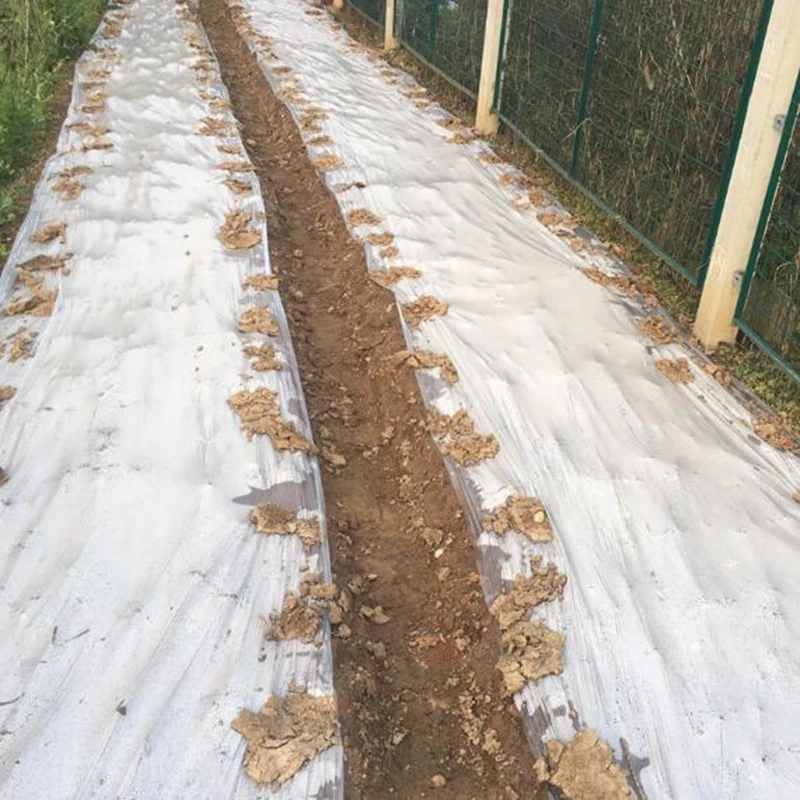 10m 0.006mm Mulch Film PE White Plastic Ground Cover Film Frost Protection Keep Warm Weed Control Garden Mulch Film 6