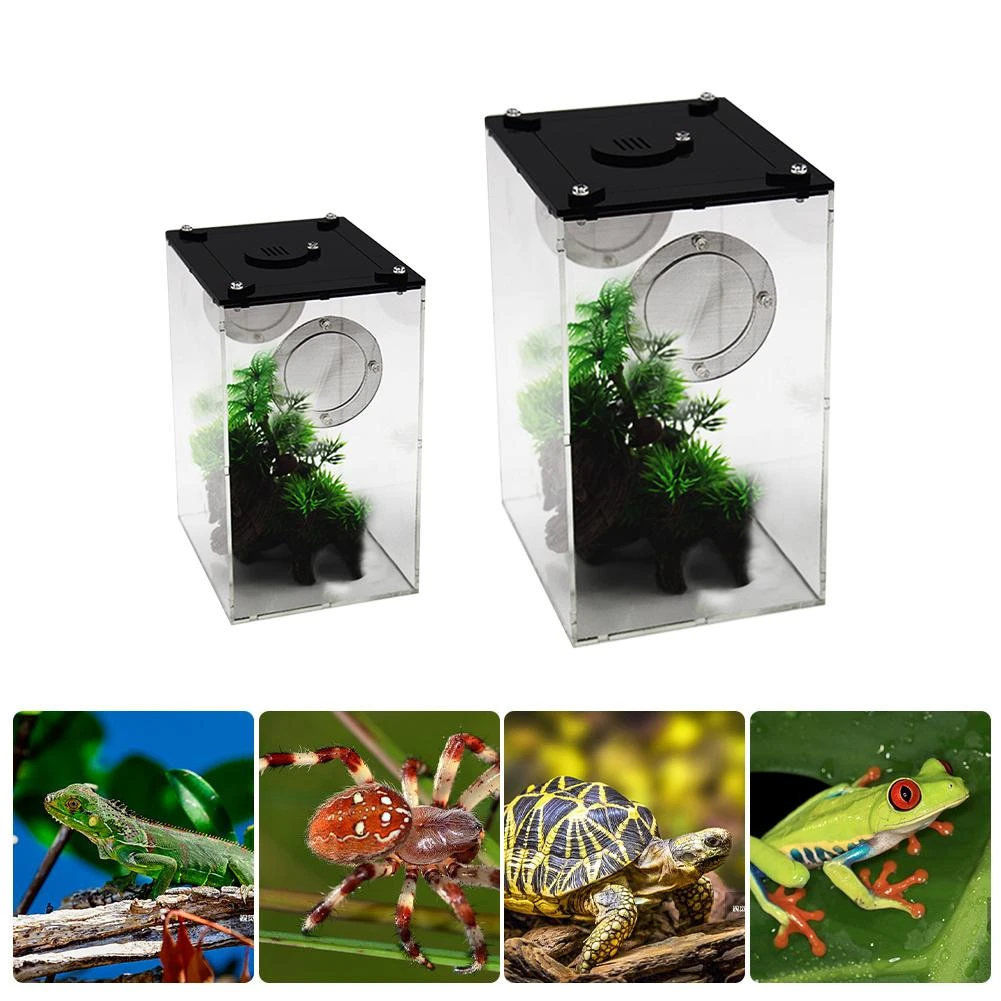 New Acrylic Terrarium Spider Breeding Box Reptile Feeding Box For