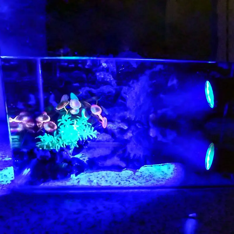 underwater lights for fountains Color Blue Aquarium Waterproof Spot Light underwater spotlight Submersible Garden pond Fish tank Fountain Spring Lighting 36LEDs  Lamp Solar Powered Color Changing 