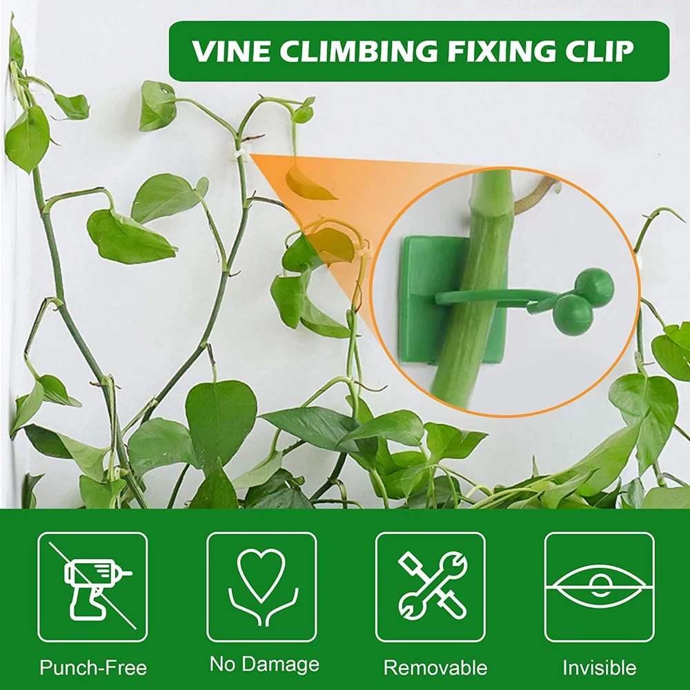 Plant Climbing Wall Self-Adhesive Hook Fixture Clips Invisible Rattan Clamp Fixture Wall Sticky Hook Plant Support 30/50PCS plant clips plastic plant clips plant adhesive hooks plant wall hooks