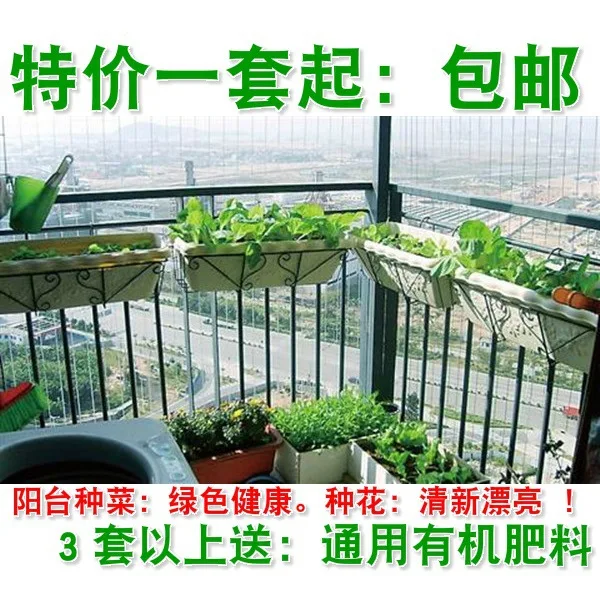 

Garden Fence between Grass-Rod Dish Failed Floor House Flower Seeds No.-Hanging Province Fat Top Flower Big Column Top to Berry
