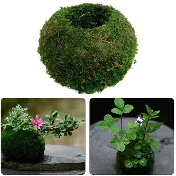 

Simulation Moss Ball Bonsai Plant Flower Pot Self Water-absorbing Moss Plante DIY Gardening Home Table Decoration