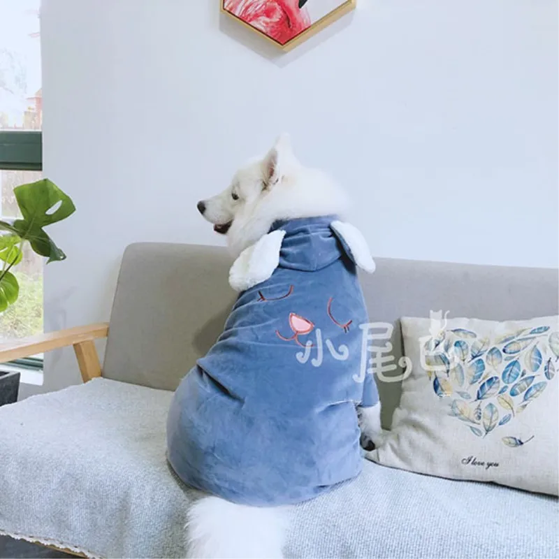 Labrador clothes (1)