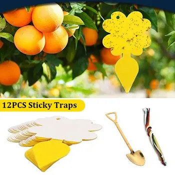 

12pcs Fruit Fly Home Sticky Traps Dual Sided Non Toxic Protect Plant Fungus Gnats Insect Catcher Odorless Indoor Outdoor Yellow