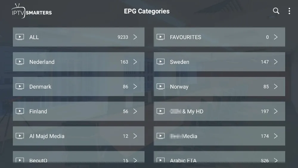 Мировое IPTV подписка Испания Франция Португалия Европа скандинавский IPTV Нидерланды Израиль Скандинавия IP tv Android Smart tv M3U IP tv