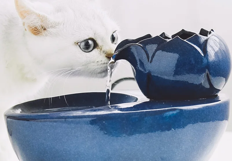 Автоматические Cat воды фонтан традиционные, керамические для собачьего питья фонтан