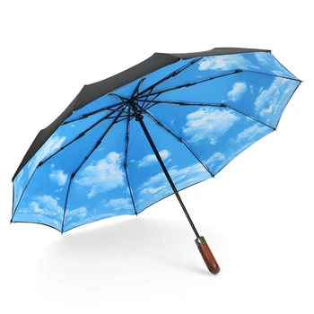 

Ten Bone Automatic Folding Umbrella Female Male Car Double layer Umbrella cloth Luxury Large Windproof Umbrella Umbrella