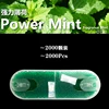2000 power mint