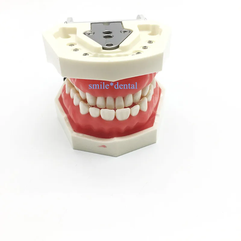 Стоматологическая фантомная головка модель силиконовая маска с 28 шт. винт фиксированные зубы оральный моделирование практика системы