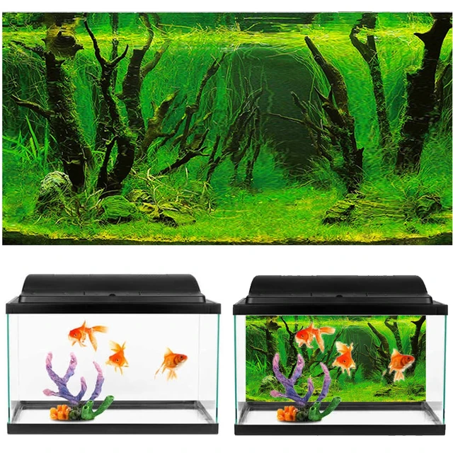 3D Aquarium Landscape Poster Wallpaper Fish Tank Background Decoration  Double-sided Ocean Sea Wate Plants HD Painting Sticker _ - AliExpress Mobile