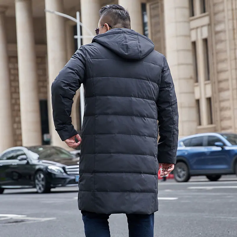 20519831049_537273674