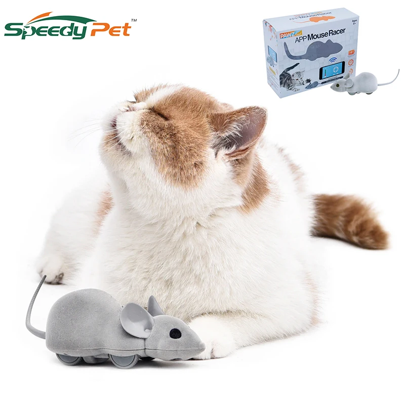 

Remote Control Mouse Interactive Cat Chase Toy Plays by Smartphone Control Pair with iPhone or Android APP Mouse Racer Cat Toys