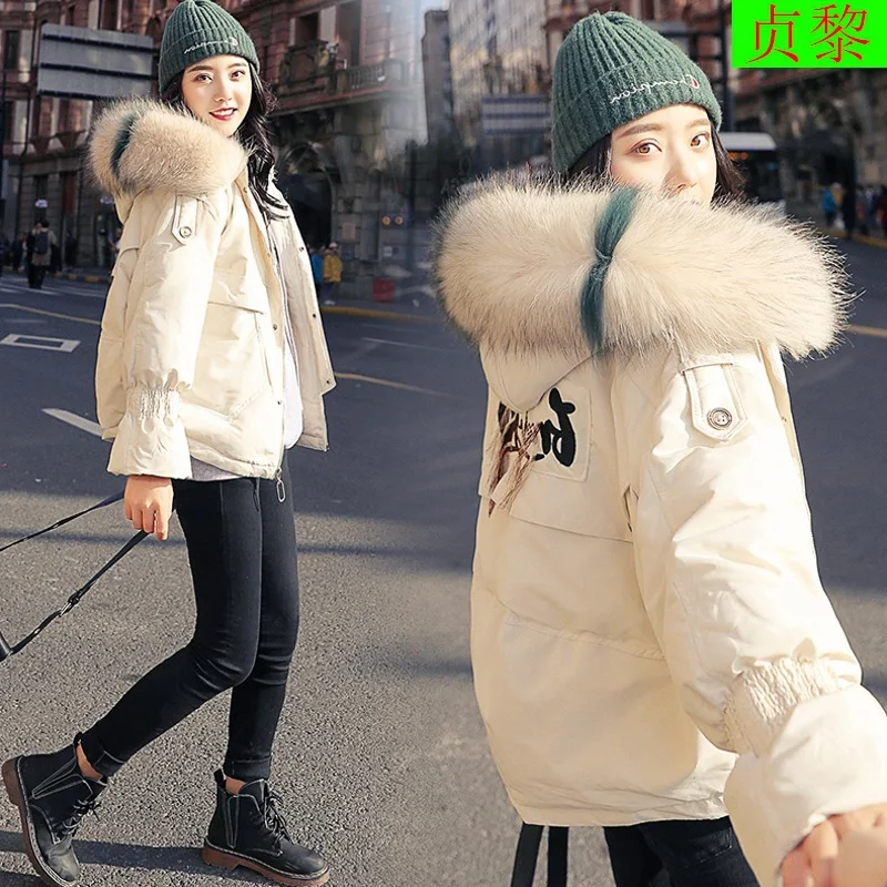 

2018 Winter New Style Really Raccoon Dog Large Fur Collar down Jacket Cotton-padded Clothes Coat Women's Short down Coat Cotton-