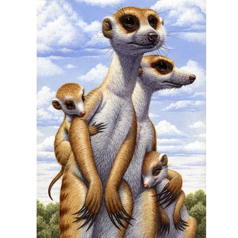 

5D Diamond Painting Cross Stitch Animal mongoose Patterns Full Square Diamond Mosaic Picture Of Rhinestones Wall Art Decor Gifts