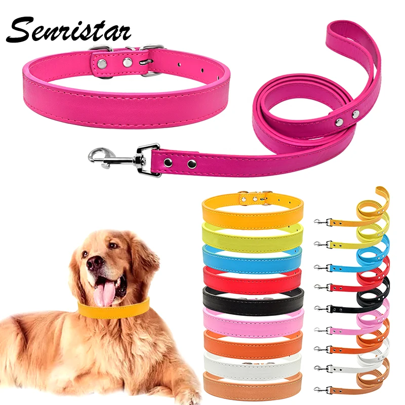 Puppy Collars Dog Collar for Small Dogs Summer Dog Collar- Leather Dog  Collar - Dog Collar for Small Dogs Girl Dog Accessories Cute Dog Collars  for