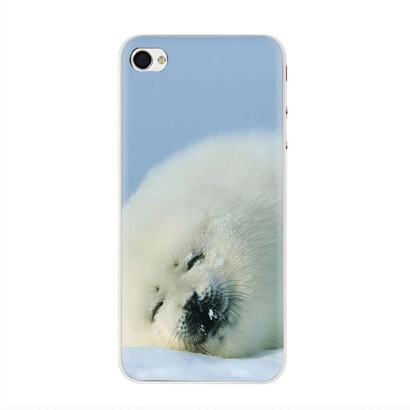 Жесткий чехол для телефона EWAU Baby harp Seal Sea Lion чехол для iPhone 5 5S SE 5C 6 6s Plus 7 8 Plus X XR XS 11 Pro MAX - Цвет: H7