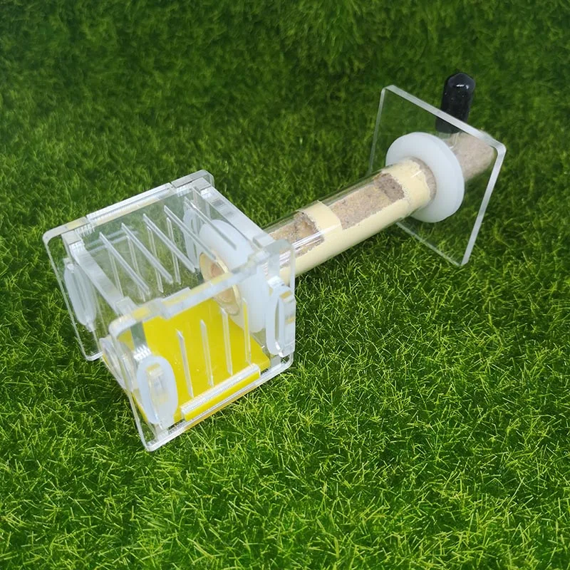 New Rear Nest Single Test Tube Ant Nest Activity Area Viewing Box Ants Farm House