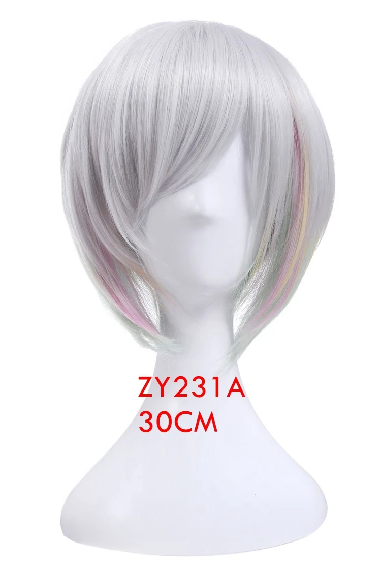 ZY231A