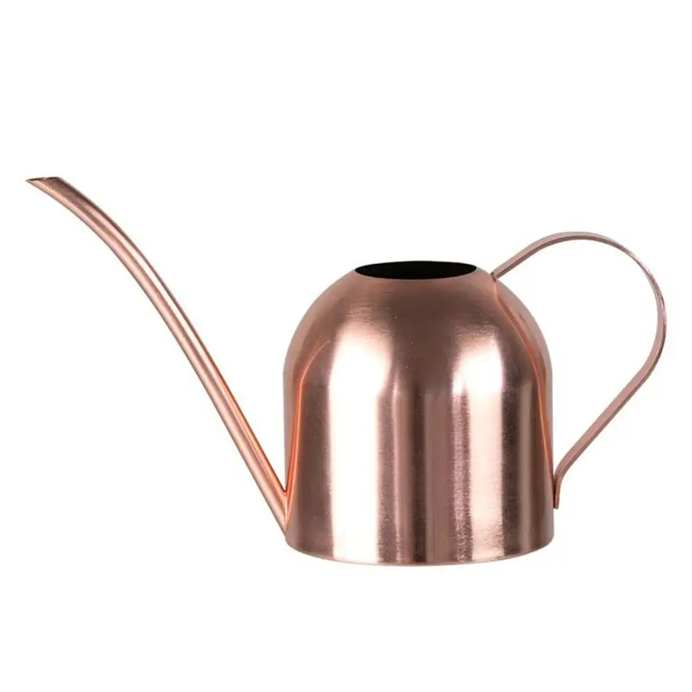 Modern Sprout Annaffiatoio con beccuccio lungo per piante da appartamento, accessori per piante da giardino in ottone, 3 litri