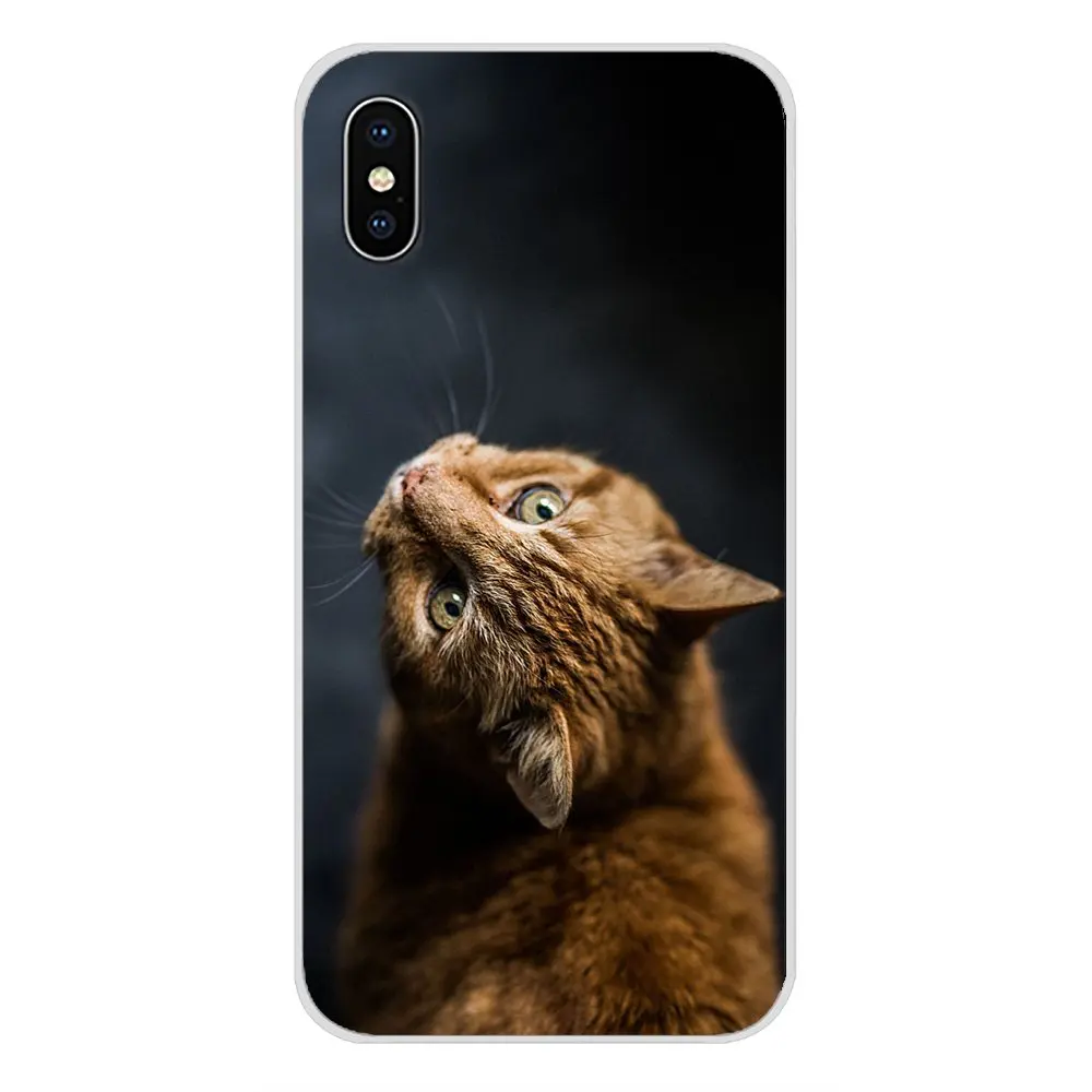 iphone Cases Covers bengal cat