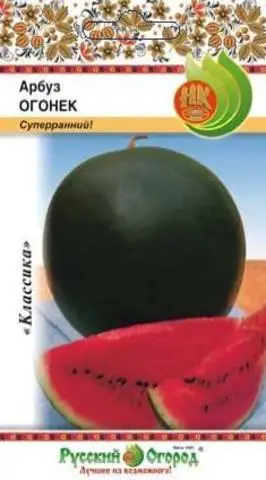 Арбуз огонек как понять что созрел. Арбуз огонек как понять что созрел. Арбуз огонек как понять что созрел. Семена арбуз огонек. Арбуз огонек как понять что созрел.