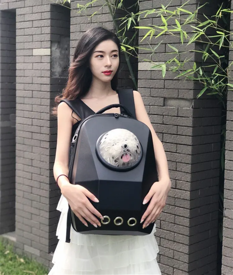 10723473840_345777210