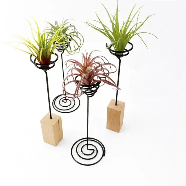 3Db Vas Légnövény Állvány Tartály Tillandsia Tartó Asztali Edénykijelző Váza Fa Alap