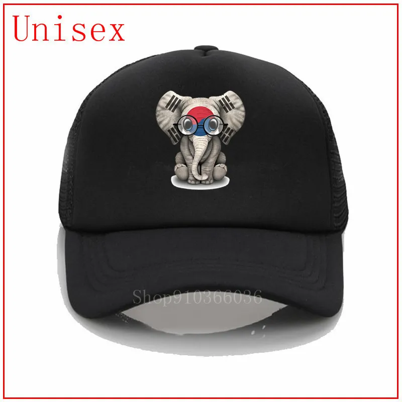 Baby Elephant with Glasses and South Korean Flag Dad Hat Custom Baseball Cap New Men Women Snapback Caps wave cap for men | Аксессуары