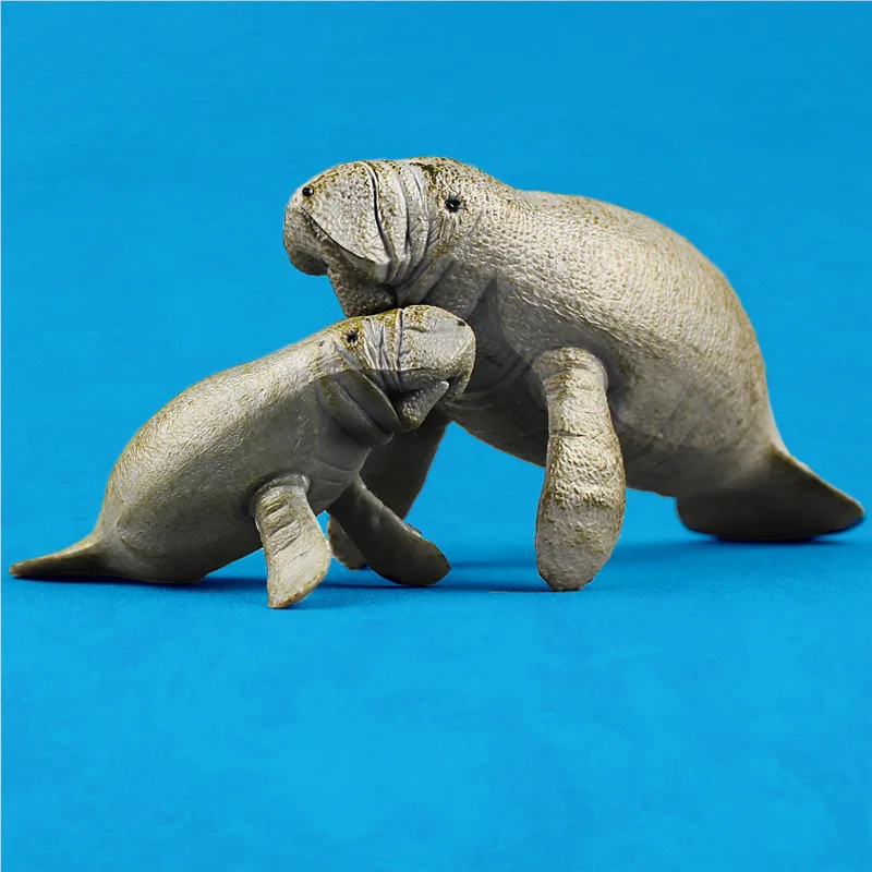 

Cross Border Supply of Goods Model Marine Organism Large Manatee Oceans Animal Model Plastic Seabed CHILDREN'S Toy Kids