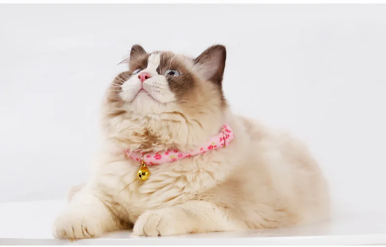 Pet регулируемые ошейники для собак домашних животных ошейники с колокольчиками Шарм Цепочки и ожерелья воротник для щенков, собак, ошейники для кошек товары для домашних животных, собаки аксессуары