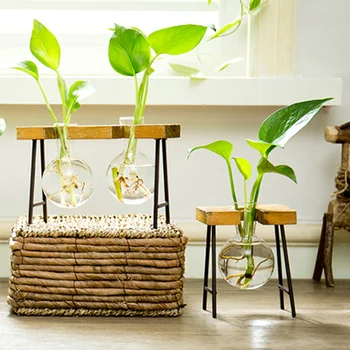 

Hot Simple Hydroponic Transparent Glass Vases Green Dill Plant Container Small Fresh Office Desktop Decor D6