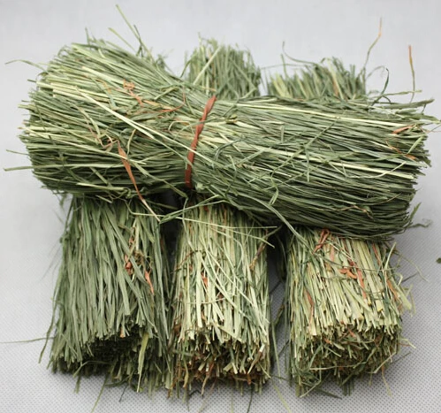 For Sandpaly Soldier Landscape Model Straw Hunts Scene Material 3