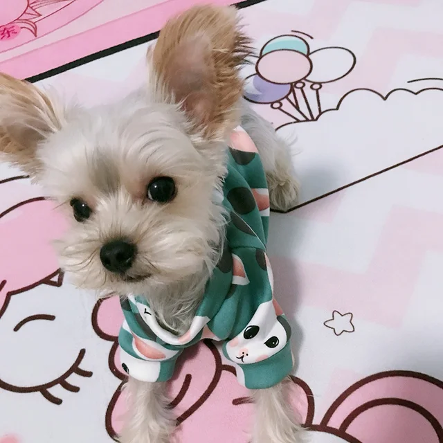 Sweet Dog Clothes
