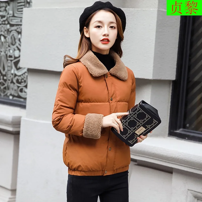 

Short Cotton-padded Clothes Women's 2018 Winter New Style Slim Fit Lambs Wool Fold-down Collar Thin down Jacket Cotton-padded Cl