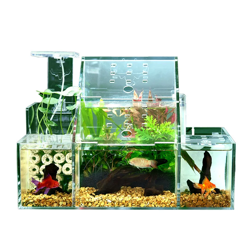 

Ecological Fighting Fish Tank Peacock Fish Breeding Hatching Special Isolation Box Circulation Water Filtration Creative Tank