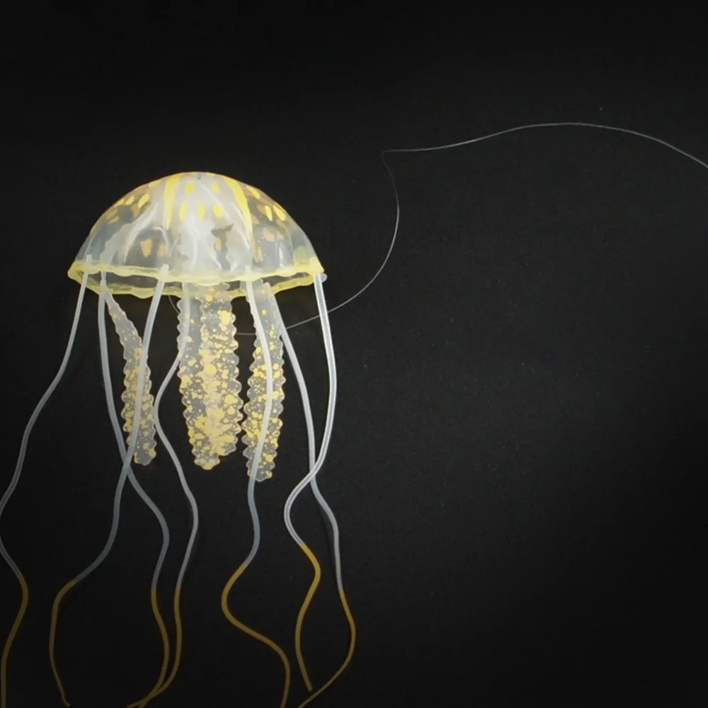 374997_no-logo_374997-4-05-g