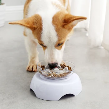 

Feeding Cat Bowl Slanted Cervical Spine Neck Protection Transparent Plastic Dog Pet Food Bowl PI669
