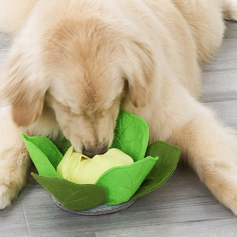 https://ae01.alicdn.com/kf/H6d6cb79f5176404b8601be4e546eb818Y/MySudui-Pet-Dog-Sniffing-Toys-Mat-Washable-Pet-Slow-Feeding-Bowl-Dog-Iq-Treat-Training-Toy.jpg