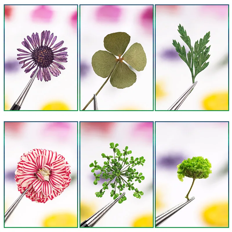 1 чехол с сухими цветами переводная картинка для дизайна ногтей разноцветные