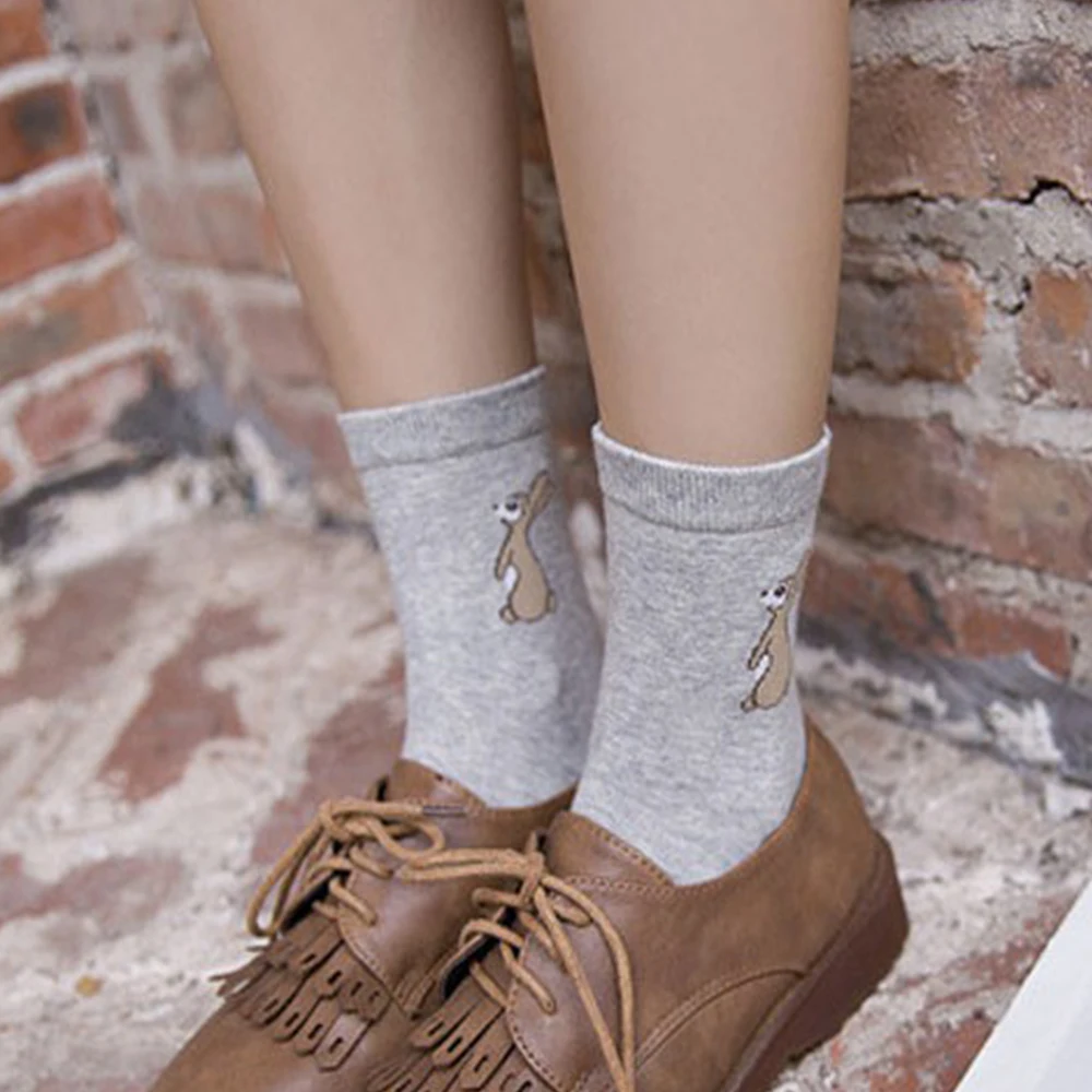 8a9ae1c16c2df605016c32d9faa703cc