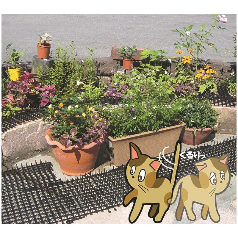 2m Cat Scat Mats Anti Cat Prickle Strips Keep Cat Away Cats And Dogs