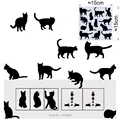 028 13 Cats
