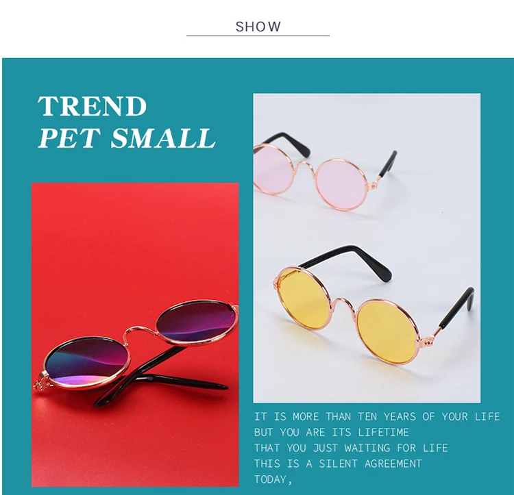 宠物眼镜_厂家直销宠物眼镜-猫咪太阳镜个性搞怪-猫批发---阿里巴巴_07