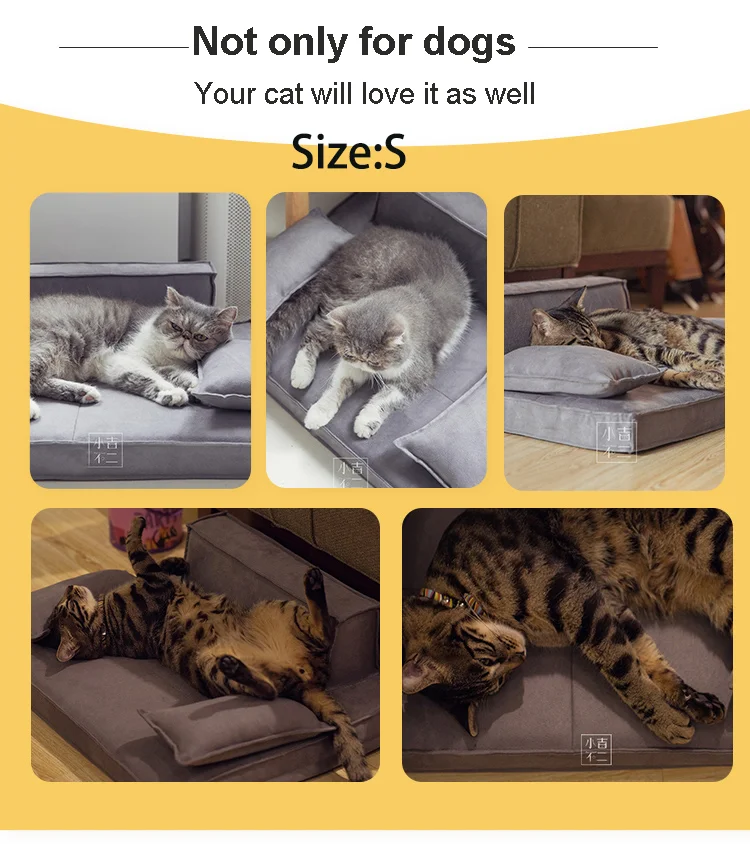 dog couch cat show带尺寸
