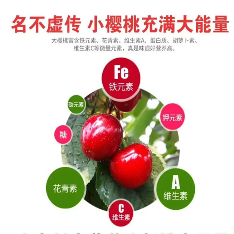 微信图片_20180705163316