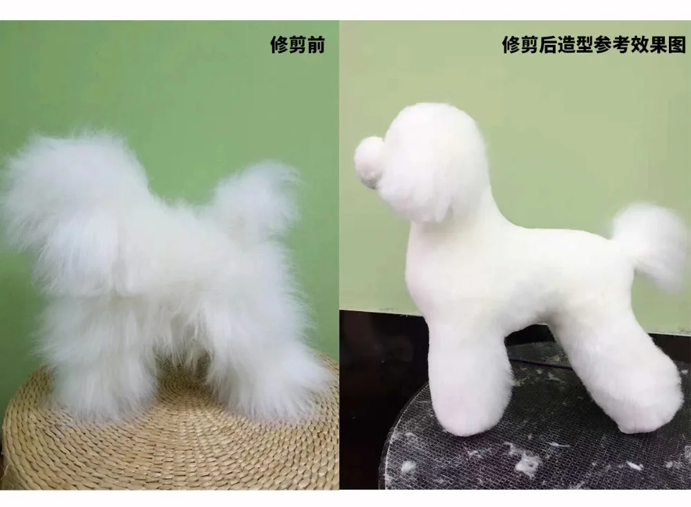 O1CN01ZkCXSw1khVzOgEYyV_!!2024574715